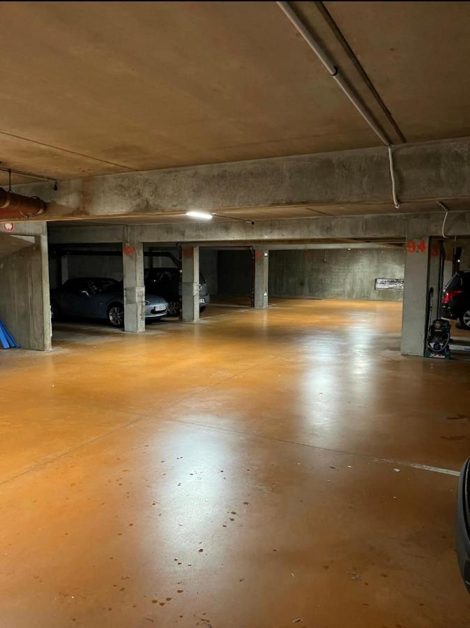 Choupette De La Vallee Avec Garage Kaysersberg-Vignoble Ngoại thất bức ảnh